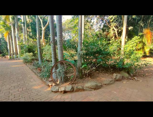 LAND FOR SALE IN BALLITO